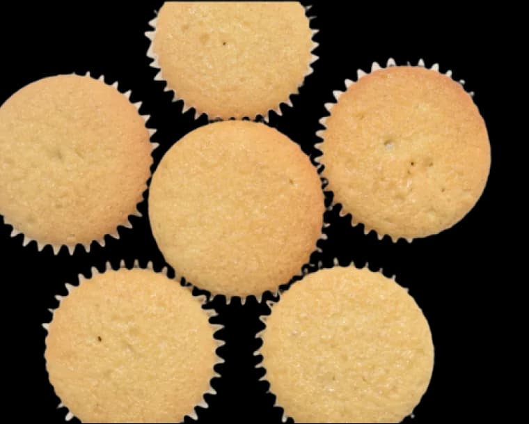 Plain Cupcakes